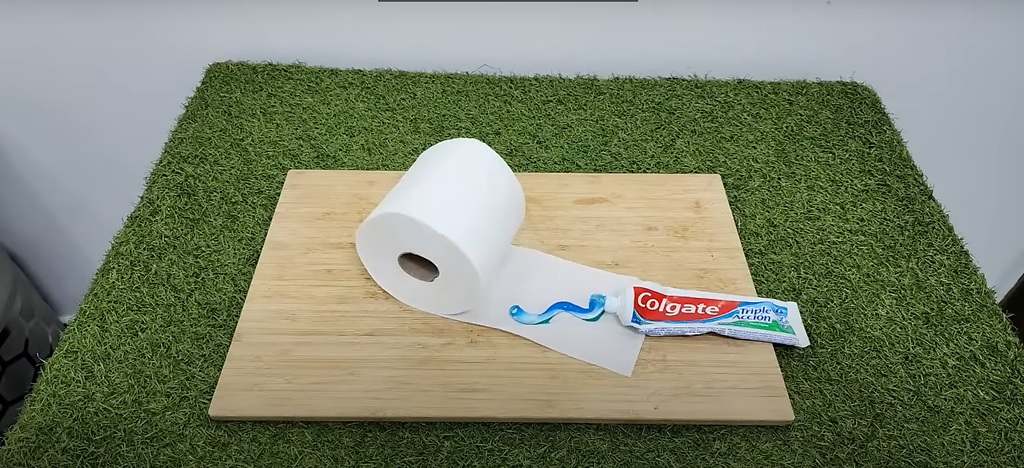 Jak odpudit komáry doma pomocí tohoto účinného triku s toaletním papírem, který se stal virálním.