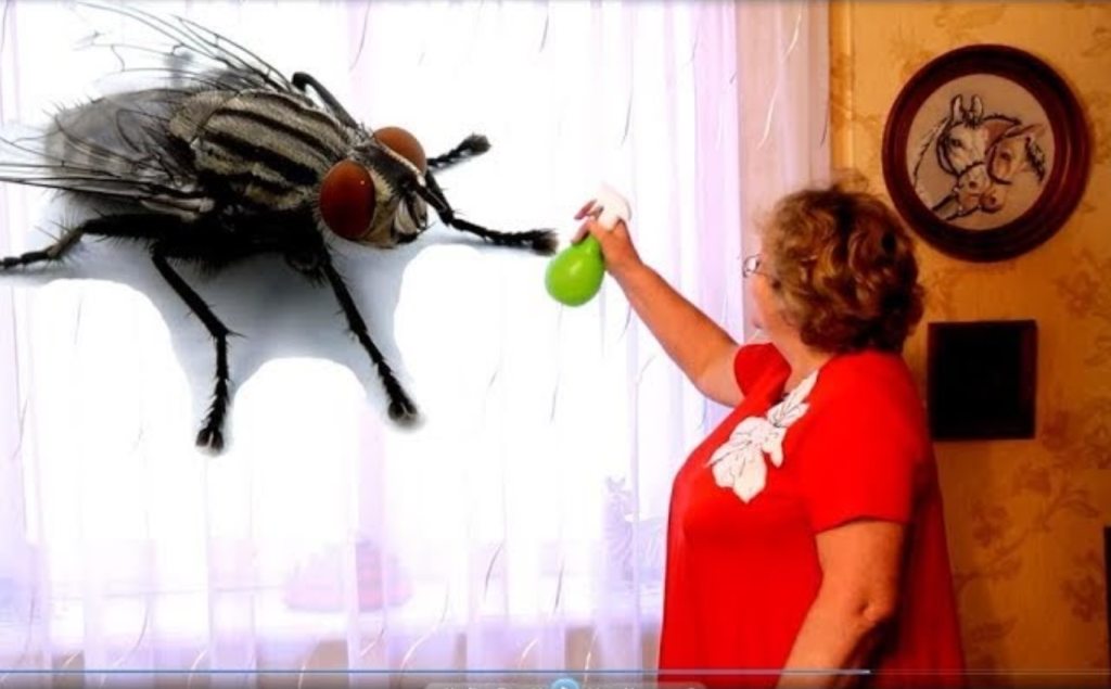 Mouchy v domě zmizely okamžitě pomocí jednoduchého domácího prostředku