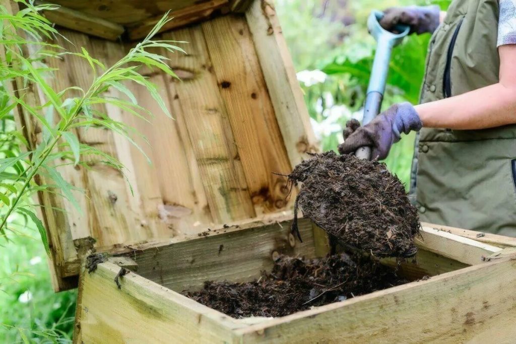 Přestal jsem vyhazovat kávovou sedlinu: tady je 4 jednoduchých způsobů, jak ji efektivně využít v zahradě