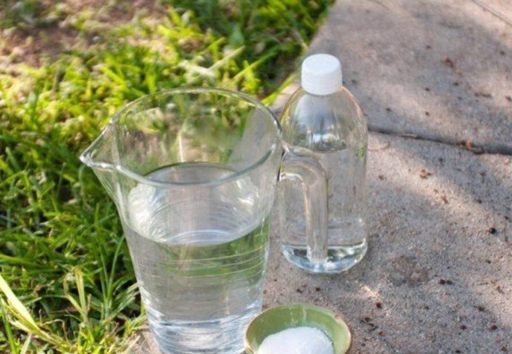 Můj recept na přípravu velmi (až příliš) účinného prostředku proti plevelům se solí a super úspornými vlastnostmi