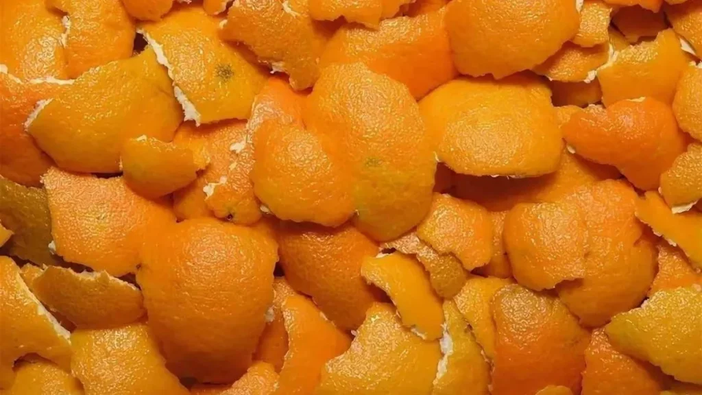 Ani ocet, ani citron: nejlepší způsob, jak se zbavit mravenců ve vaší domácnosti letos v létě